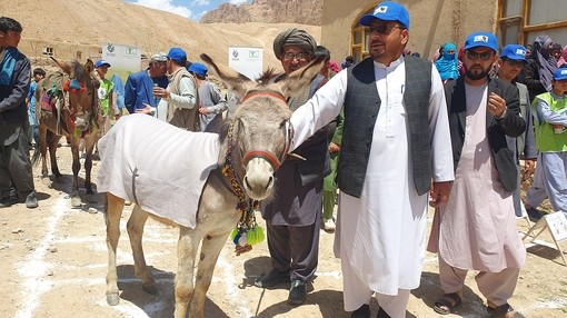 An image of a grey donkey wearing a rug stood to the left of its owner and other men wearing blue hats featuring a donkey logo.