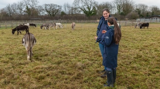 An image of a girl wearing coat and wellies talking to an older girl in a field with donkeys grazing in the background.