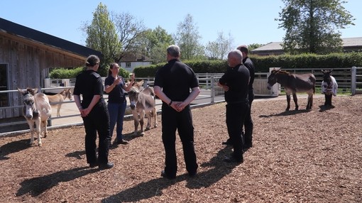 A ground of police officers stood in a circle in an outside paddock with donkeys.