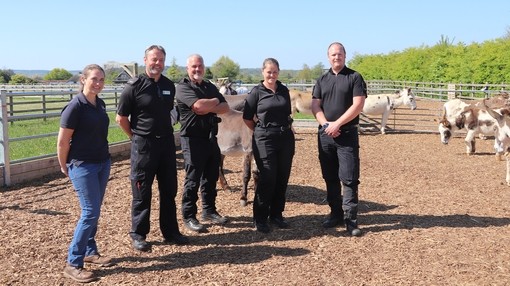 An image of five police officers stood in a line looking toward camera with a group of donkeys grazing behind them.