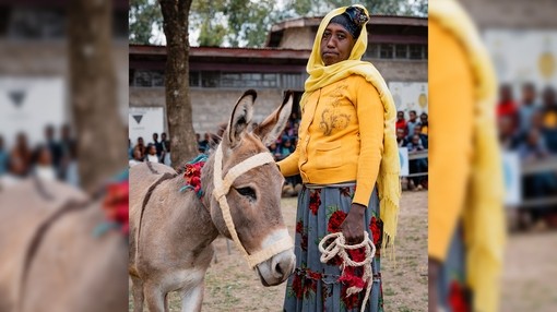 An image of a women wearing a yellow jumper and headscarf looking toward camera with a grey donkey stood on her left.