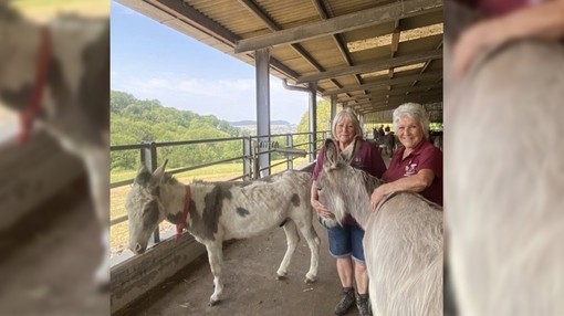 An image of two older women wearing burgundy shirts, resting their hands on a grey donkey.