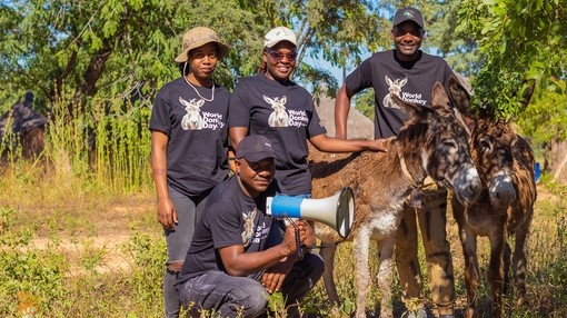 An image of a four people stood with two donkeys outside wearing black t-shirts with the words: "World Donkey Day" on the front.