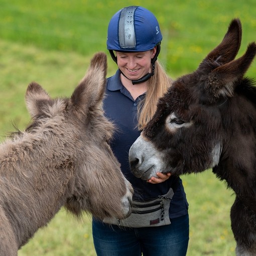 Two brown donkeys with donkey behaviourist Kerry.
