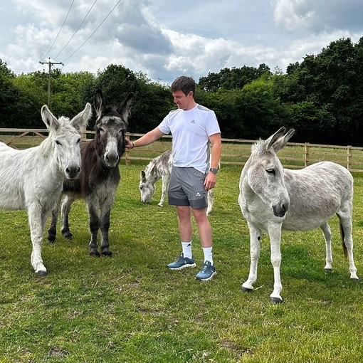 A man stood with two white donkeys and a brown donkey with another donkey grazing behind him.
