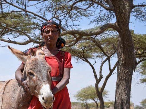 Woman with a donkey (International Women's Day)