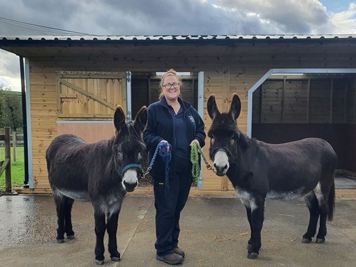 Ben (left) and Bill with Jessie Ingleson, animal centre co-ordinator.