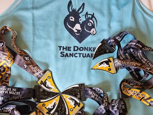 Clive Poole's The Donkey Sanctuary running vest and medals.