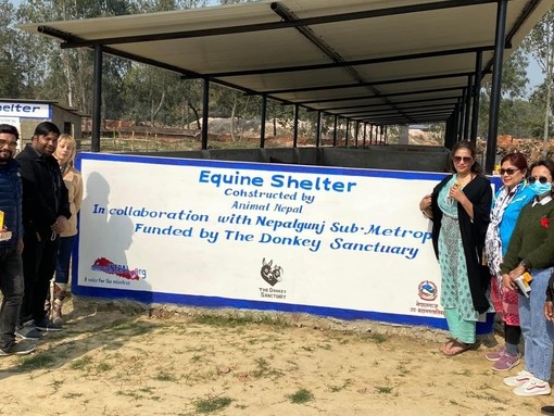 Equine shelter funded by The Donkey Sanctuary in Nepalgunj, Nepal.