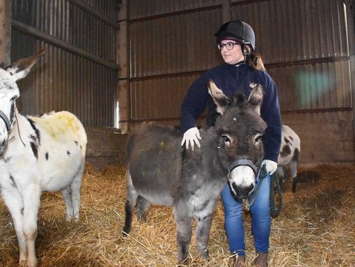 Lady and Heidi with Hannah Bryer, Head of Welfare, just after rescue.