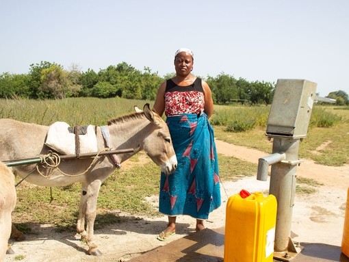 Mariama Braiamah at the borehole with donkeys.