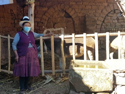 Mrs Julia welcomes to the team to her new donkey shelter, built with support from the CERF project.