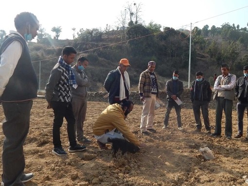 Outdoor azolla cultivation training (Credit: Sanjeevani).