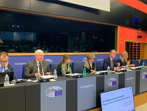 Panel at EU Intergroup meeting Strasbourg.