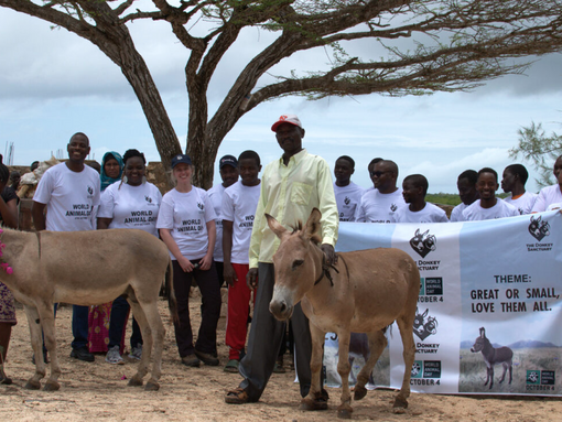 World animal day celebrations, organised by TDS Kenya, held on Manda Island, Lamu.