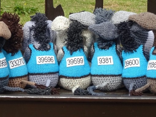 2019 Marathon knitted neddies