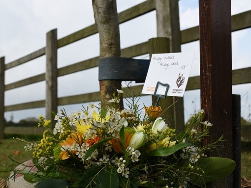 Memorial flowers with message card.