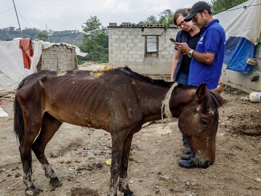 The Donkey Sanctuary staff member uses EARS in Nepal