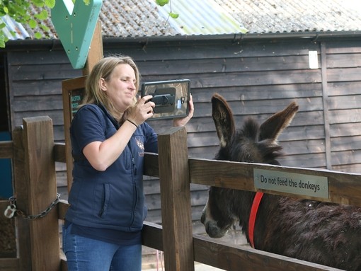 Sarah taking picture of a donkey for assessment