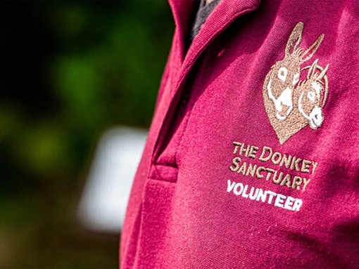 Volunteer uniform