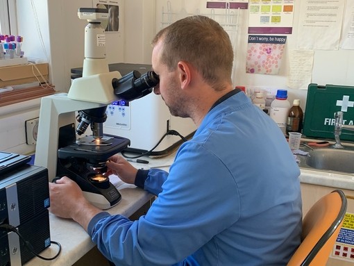 A man in a blue top studying donkey blood work in a pathology lab