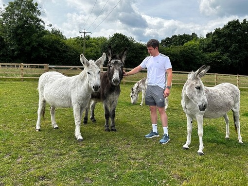 A man stood with two white donkeys and a brown donkey with another donkey grazing behind him.