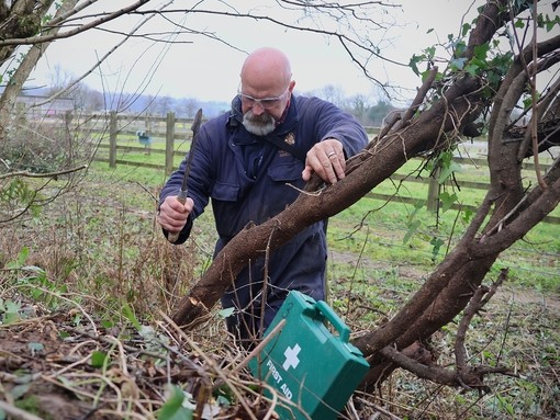A man wearing a blue jacket and safety glasses holding a tool over a tree.