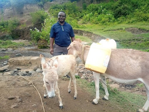 A man stood behind a beige donkey carrying yellow water containers and a small beige foal by a stream.