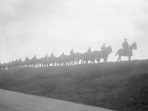 British troops taking mules to water along the Amiens-Albert road in October 1916, silhouetted against the sky.