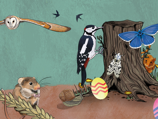 illustrated owl, woodpecker and field mouse with easter eggs