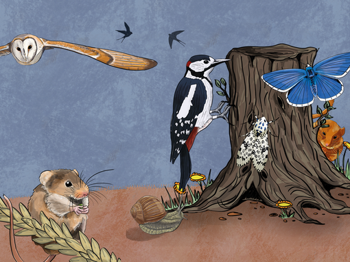 illustrated owl, woodpecker and field mouse with easter eggs