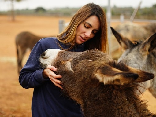 A women with brown hair wearing a blue jumper hugging a dark brown donkey as it rests its head on her shoulder.