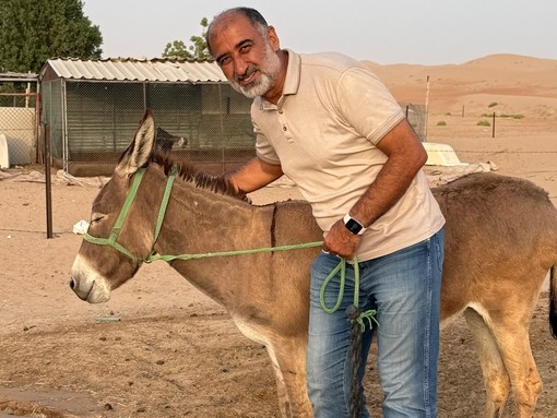 An image of a man holding on a grey donkey as it faces sideways wearing a head harness.