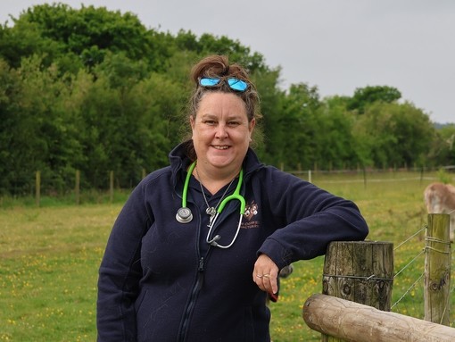An image of a women wearing a navy fleece and stethoscope around her neck, as she stands in an outside paddock and leans on a wooden fence.