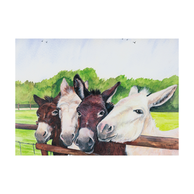 Four Curious Donkeys Greetings Cards