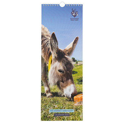 2024 Donkey Sanctuary Slim Calendar.