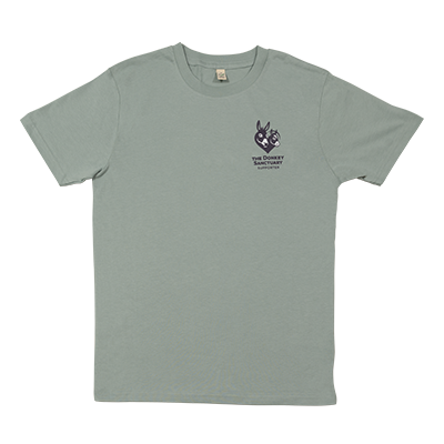 Organic Cotton T-Shirt Slate Green.