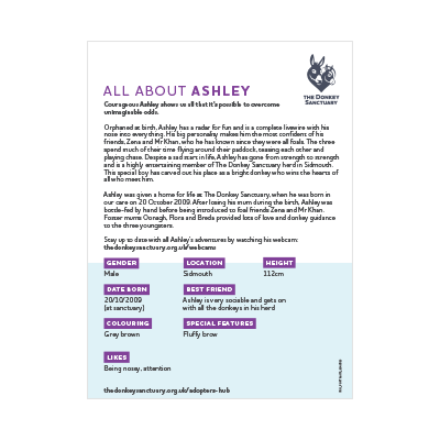 Ashley Portrait - back sheet