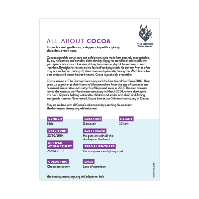 Cocoa Portrait - back sheet