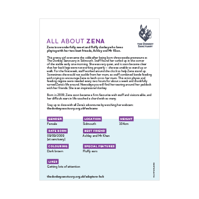 Zena - back image