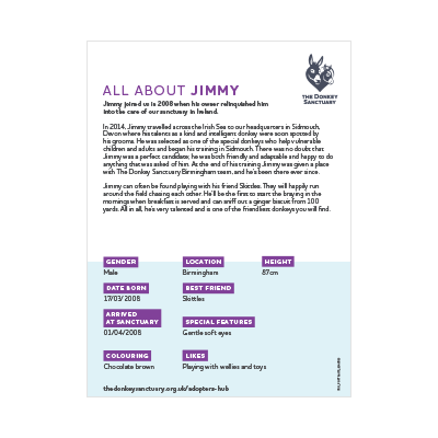 Jimmy Portrait - back sheet