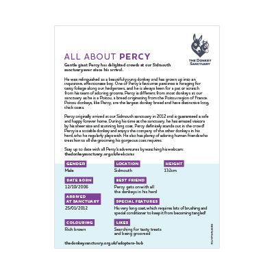 Percy Portrait - back sheet