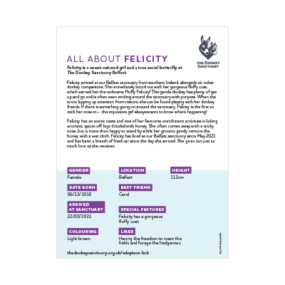Felicity - back sheet