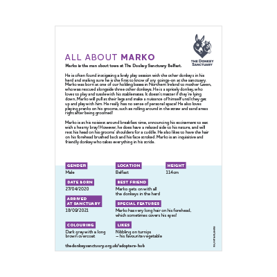Marko - back sheet