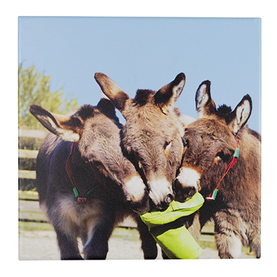 This ceramic art panel features three donkeys enjoying a tussle with a Wellington boot.