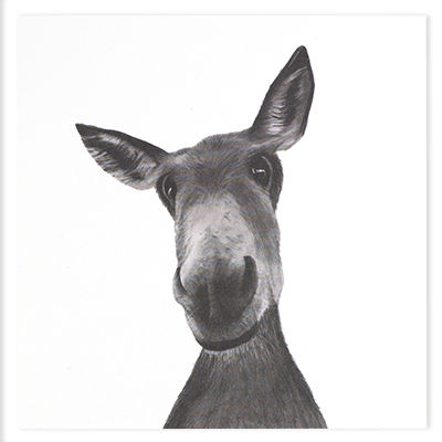 D24043 Sirus the donkey greeting card