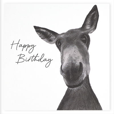 D24045 Sirus the donkey birthday card