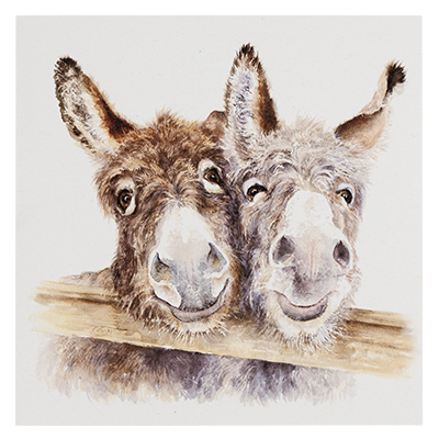 D24046 Stand and Ollie greeting card
