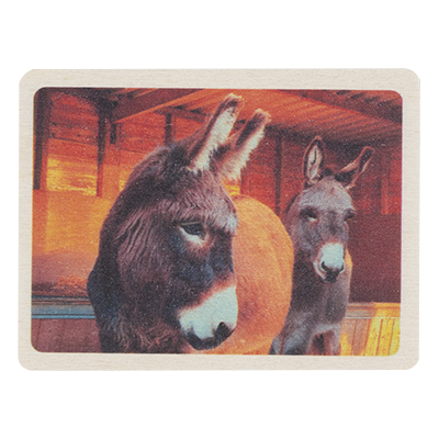 D24055 Felicity and hope wooden magnet