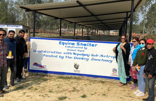 Equine shelter funded by The Donkey Sanctuary in Nepalgunj, Nepal
